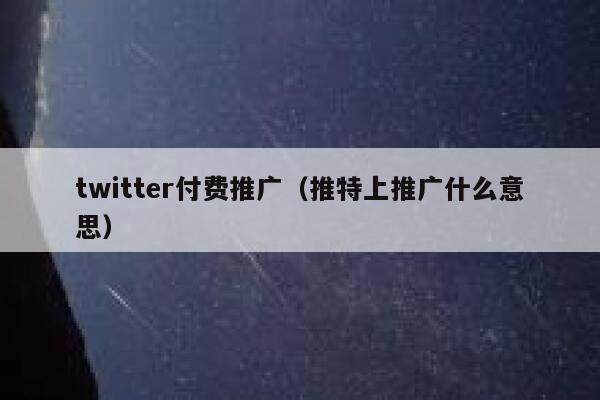 twitter付费推广（推特上推广什么意思） 第1张