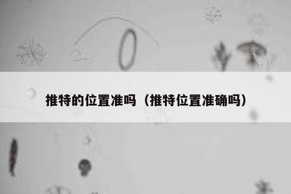 推特的位置准吗（推特位置准确吗） 第1张