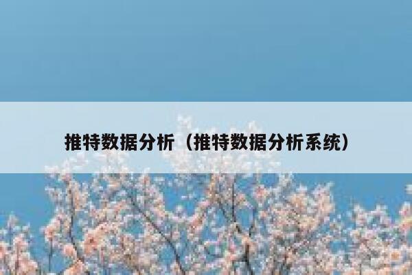 推特数据分析（推特数据分析系统） 第1张