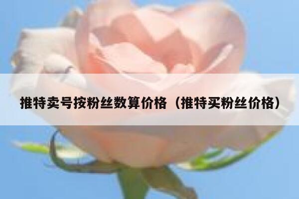 推特卖号按粉丝数算价格(推特买粉丝价格) 第1张 推特卖号按粉丝数算价格(推特买粉丝价格) 第1张