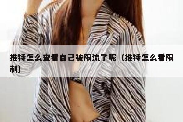 推特怎么查看自己被限流了呢（推特怎么看限制） 第1张