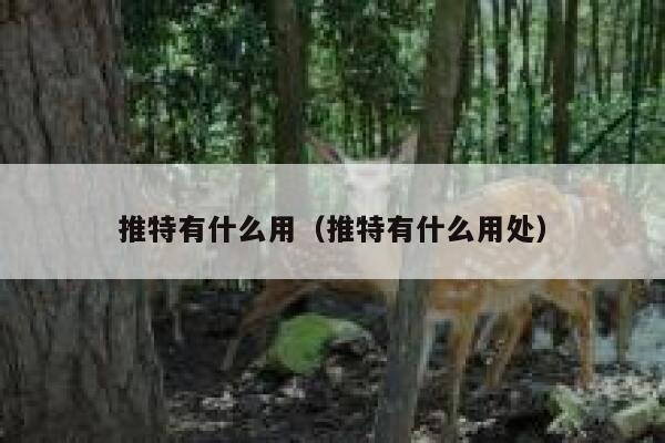 推特有什么用（推特有什么用处） 第1张