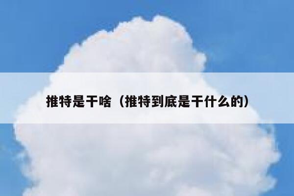推特是干啥（推特到底是干什么的） 第1张