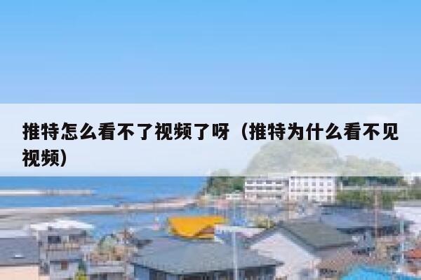 推特怎么看不了视频了呀(推特为什么看不见视频) 第1张 推特怎么看不了视频了呀(推特为什么看不见视频) 第1张