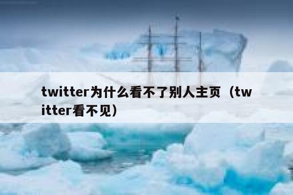 twitter为什么看不了别人主页(twitter看不见) 第1张 twitter为什么看不了别人主页(twitter看不见) 第1张