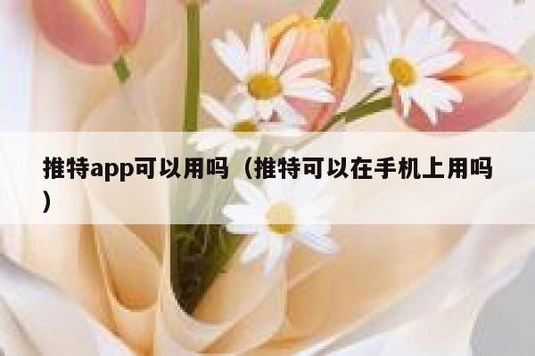 推特app可以用吗（推特可以在手机上用吗） 第1张
