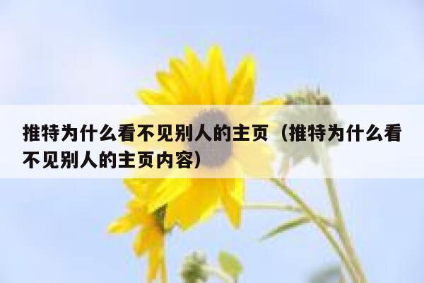 推特为什么看不见别人的主页(推特为什么看不见别人的主页内容) 第1张 推特为什么看不见别人的主页(推特为什么看不见别人的主页内容) 第1张