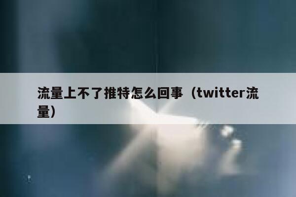流量上不了推特怎么回事（twitter流量） 第1张