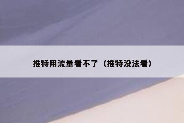 推特用流量看不了(推特没法看) 第1张 推特用流量看不了(推特没法看) 第1张