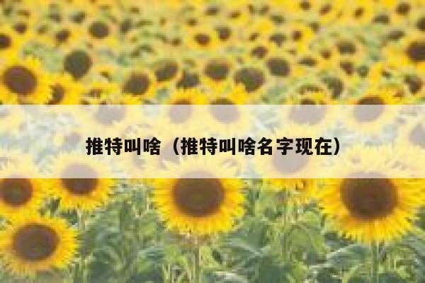 推特叫啥（推特叫啥名字现在） 第1张