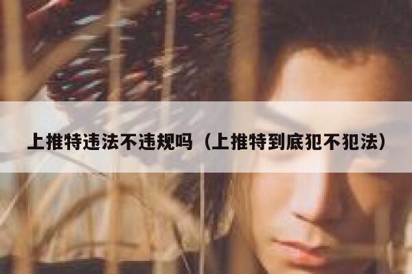 上推特违法不违规吗（上推特到底犯不犯法） 第1张