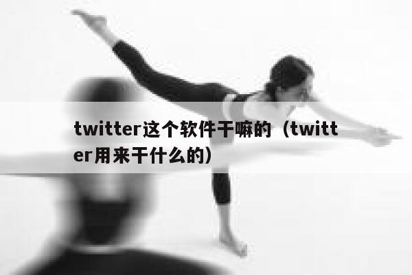 twitter这个软件干嘛的（twitter用来干什么的） 第1张
