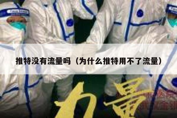 推特没有流量吗(为什么推特用不了流量) 第1张 推特没有流量吗(为什么推特用不了流量) 第1张