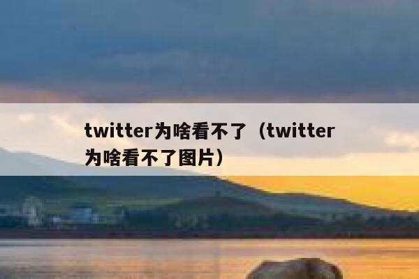 twitter为啥看不了（twitter为啥看不了图片） 第1张