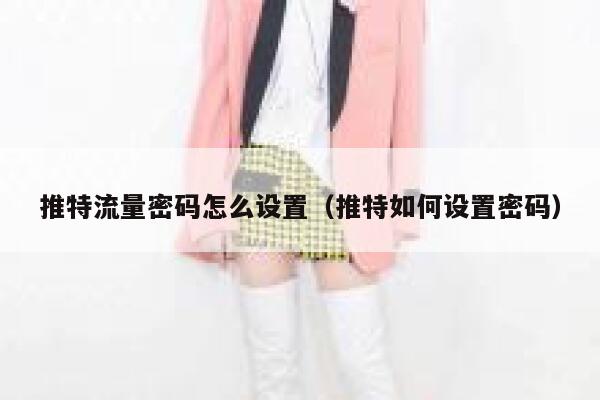 推特流量密码怎么设置(推特如何设置密码) 第1张 推特流量密码怎么设置(推特如何设置密码) 第1张