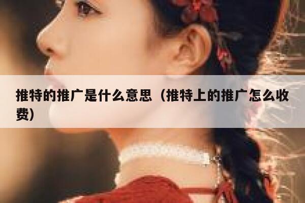 推特的推广是什么意思（推特上的推广怎么收费） 第1张