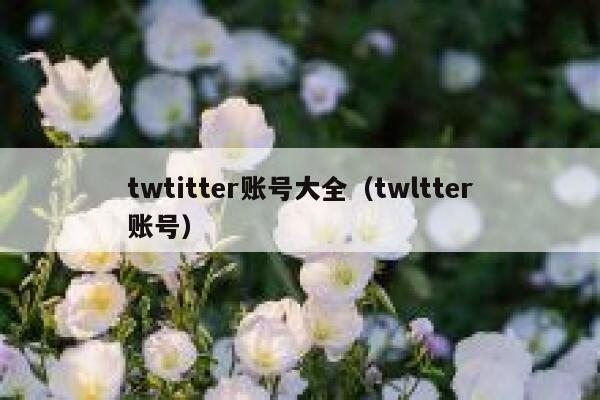 twtitter账号大全(twltter账号) 第1张 twtitter账号大全(twltter账号) 第1张