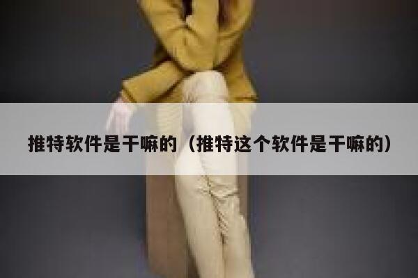 推特软件是干嘛的(推特这个软件是干嘛的) 第1张 推特软件是干嘛的(推特这个软件是干嘛的) 第1张