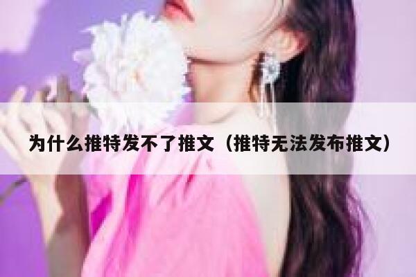 为什么推特发不了推文(推特无法发布推文) 第1张 为什么推特发不了推文(推特无法发布推文) 第1张