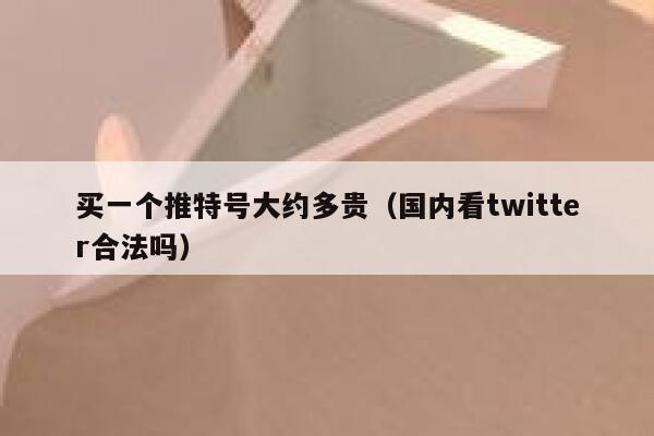 买一个推特号大约多贵(国内看twitter合法吗) 第1张 买一个推特号大约多贵(国内看twitter合法吗) 第1张