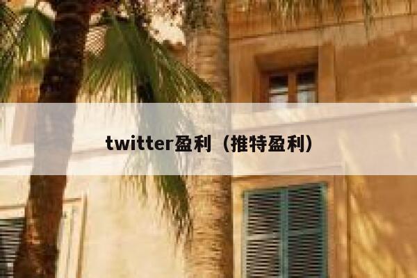 twitter盈利(推特盈利) 第1张 twitter盈利(推特盈利) 第1张