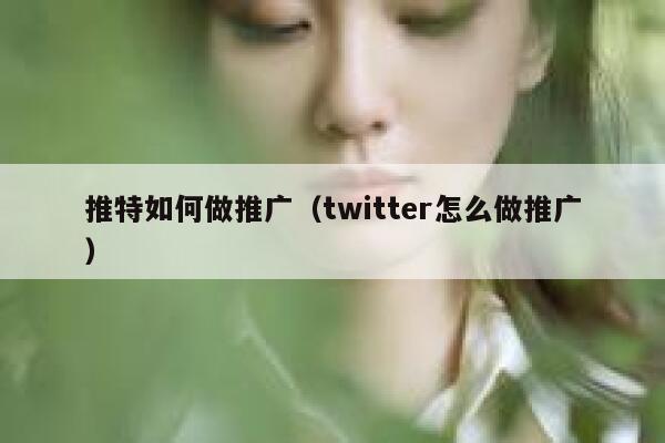 推特如何做推广(twitter怎么做推广) 第1张 推特如何做推广(twitter怎么做推广) 第1张