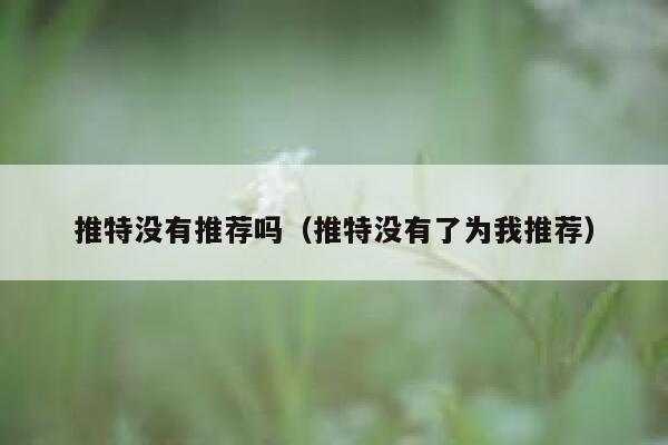 推特没有推荐吗（推特没有了为我推荐） 第1张