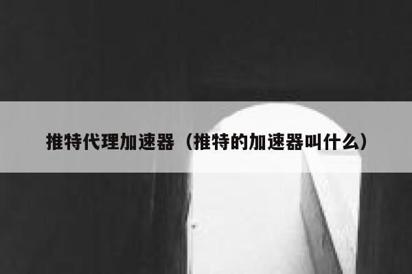 推特代理加速器（推特的加速器叫什么） 第1张