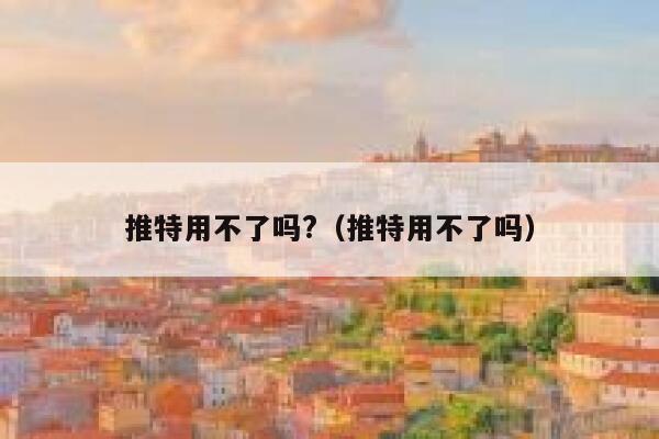 推特用不了吗?(推特用不了吗) 第1张 推特用不了吗?(推特用不了吗) 第1张