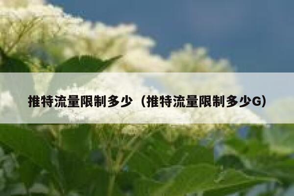 推特流量限制多少(推特流量限制多少G) 第1张 推特流量限制多少(推特流量限制多少G) 第1张