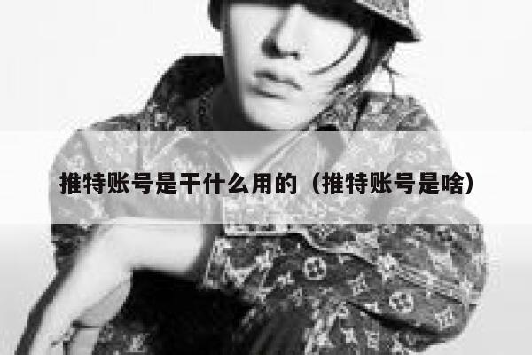 推特账号是干什么用的（推特账号是啥） 第1张