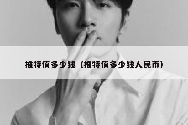 推特值多少钱(推特值多少钱人民币) 第1张 推特值多少钱(推特值多少钱人民币) 第1张