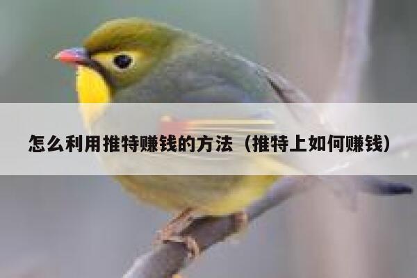 怎么利用推特赚钱的方法(推特上如何赚钱) 第1张 怎么利用推特赚钱的方法(推特上如何赚钱) 第1张