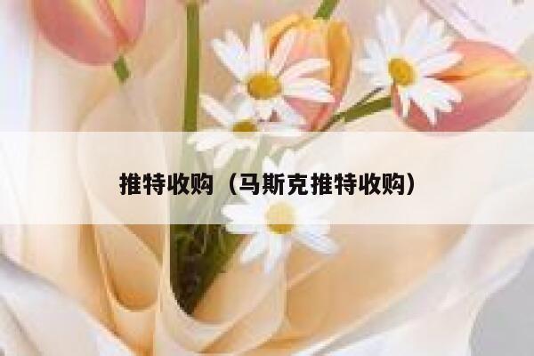 推特收购(马斯克推特收购) 第1张 推特收购(马斯克推特收购) 第1张