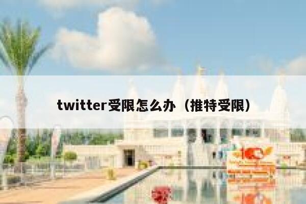 twitter受限怎么办(推特受限) 第1张 twitter受限怎么办(推特受限) 第1张