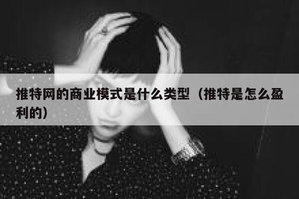 推特网的商业模式是什么类型(推特是怎么盈利的) 第1张 推特网的商业模式是什么类型(推特是怎么盈利的) 第1张