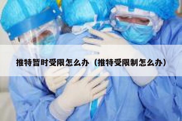 推特暂时受限怎么办(推特受限制怎么办) 第1张 推特暂时受限怎么办(推特受限制怎么办) 第1张