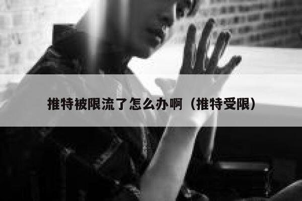 推特被限流了怎么办啊(推特受限) 第1张 推特被限流了怎么办啊(推特受限) 第1张