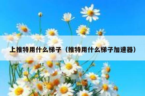 上推特用什么梯子(推特用什么梯子加速器) 第1张 上推特用什么梯子(推特用什么梯子加速器) 第1张