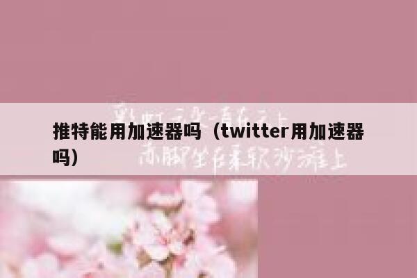 推特能用加速器吗（twitter用加速器吗） 第1张