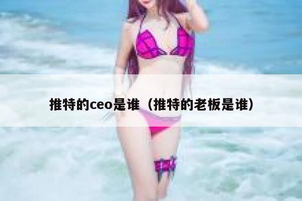 推特的ceo是谁（推特的老板是谁） 第1张