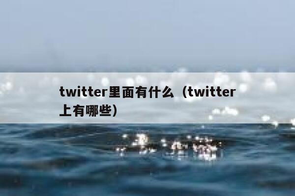 twitter里面有什么（twitter上有哪些） 第1张