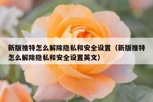 新版推特怎么解除隐私和安全设置（新版推特怎么解除隐私和安全设置英文） 第1张