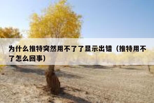 为什么推特突然用不了了显示出错(推特用不了怎么回事) 第1张 为什么推特突然用不了了显示出错(推特用不了怎么回事) 第1张