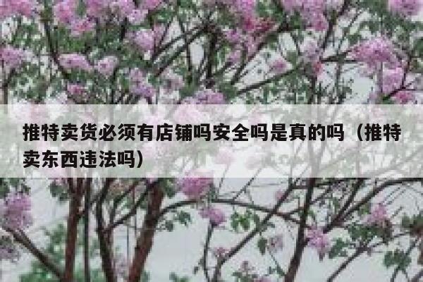 推特卖货必须有店铺吗安全吗是真的吗(推特卖东西违法吗) 第1张 推特卖货必须有店铺吗安全吗是真的吗(推特卖东西违法吗) 第1张