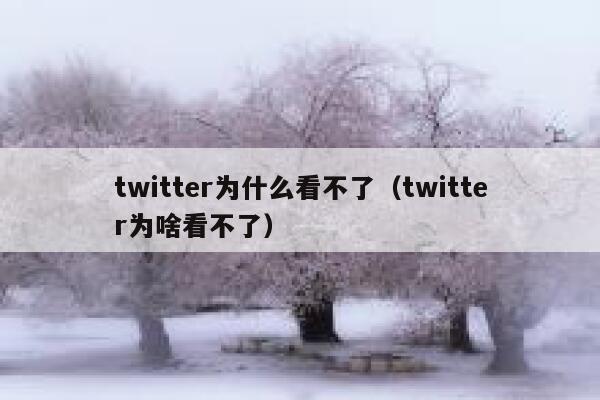 twitter为什么看不了(twitter为啥看不了) 第1张 twitter为什么看不了(twitter为啥看不了) 第1张
