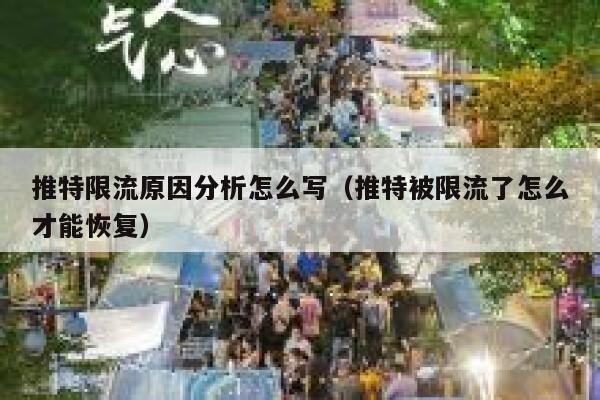 推特限流原因分析怎么写(推特被限流了怎么才能恢复) 第1张 推特限流原因分析怎么写(推特被限流了怎么才能恢复) 第1张