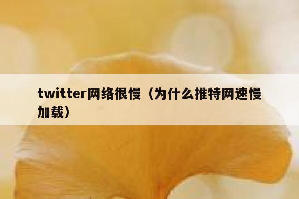 twitter网络很慢（为什么推特网速慢加载） 第1张