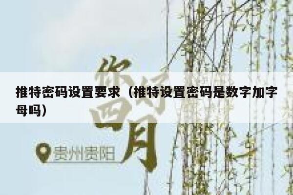 推特密码设置要求(推特设置密码是数字加字母吗) 第1张 推特密码设置要求(推特设置密码是数字加字母吗) 第1张