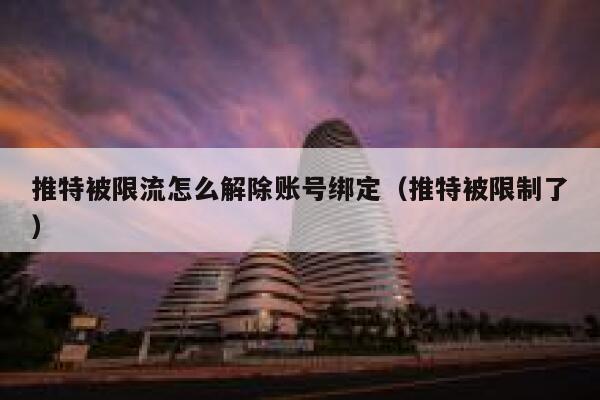 推特被限流怎么解除账号绑定（推特被限制了） 第1张
